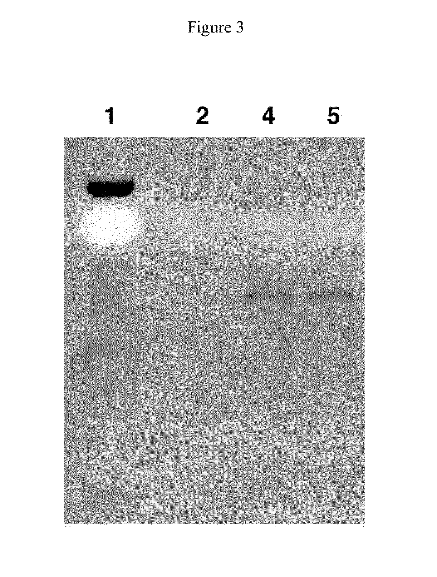 Ophthalmic Device, and Method of Use Thereof, for Increasing Ocular Boundary Lubrication