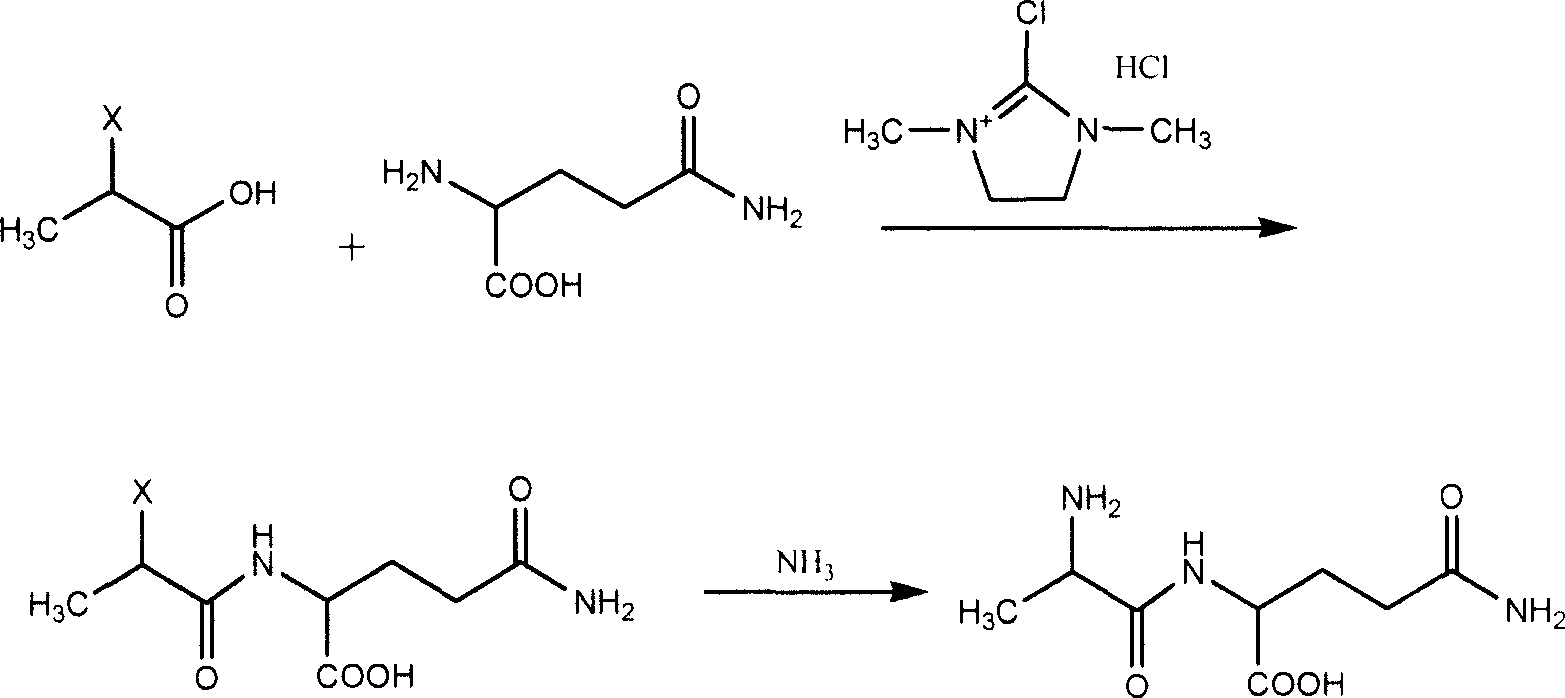 Prepn process of L-alanyl-L-glutamine