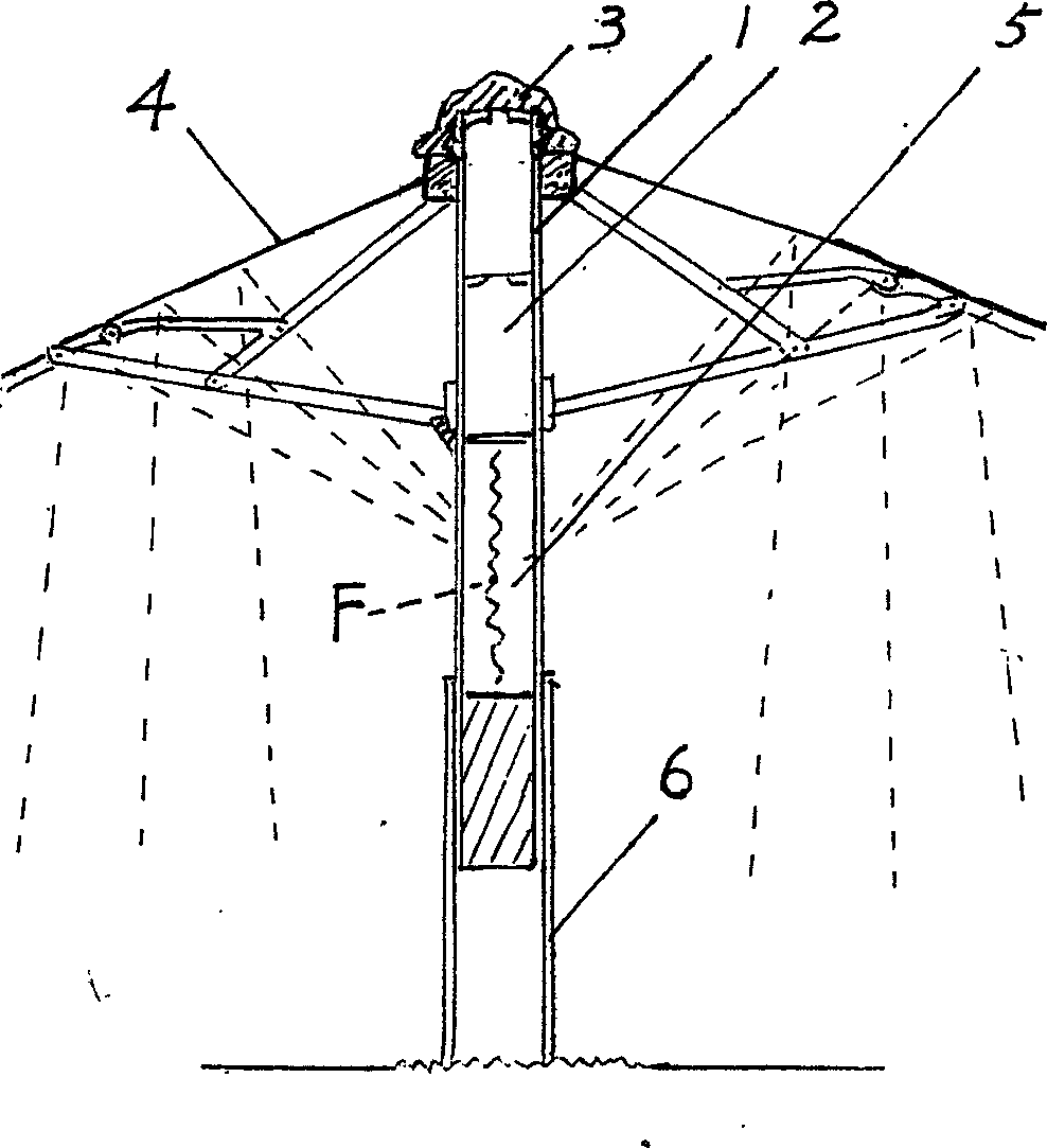 Pseudoscopic beautiful cool umbrella