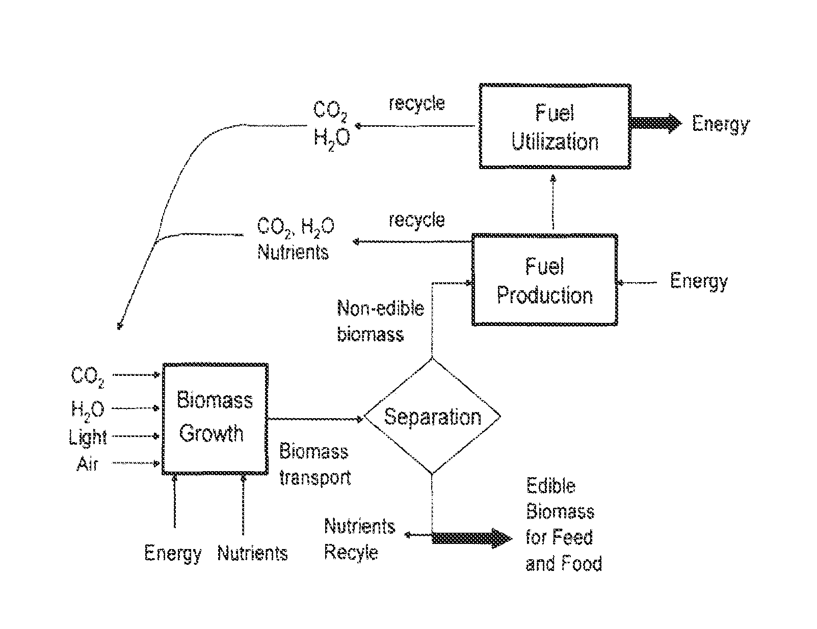 Process for direct conversion of biomass to liquid fuels and chemicals