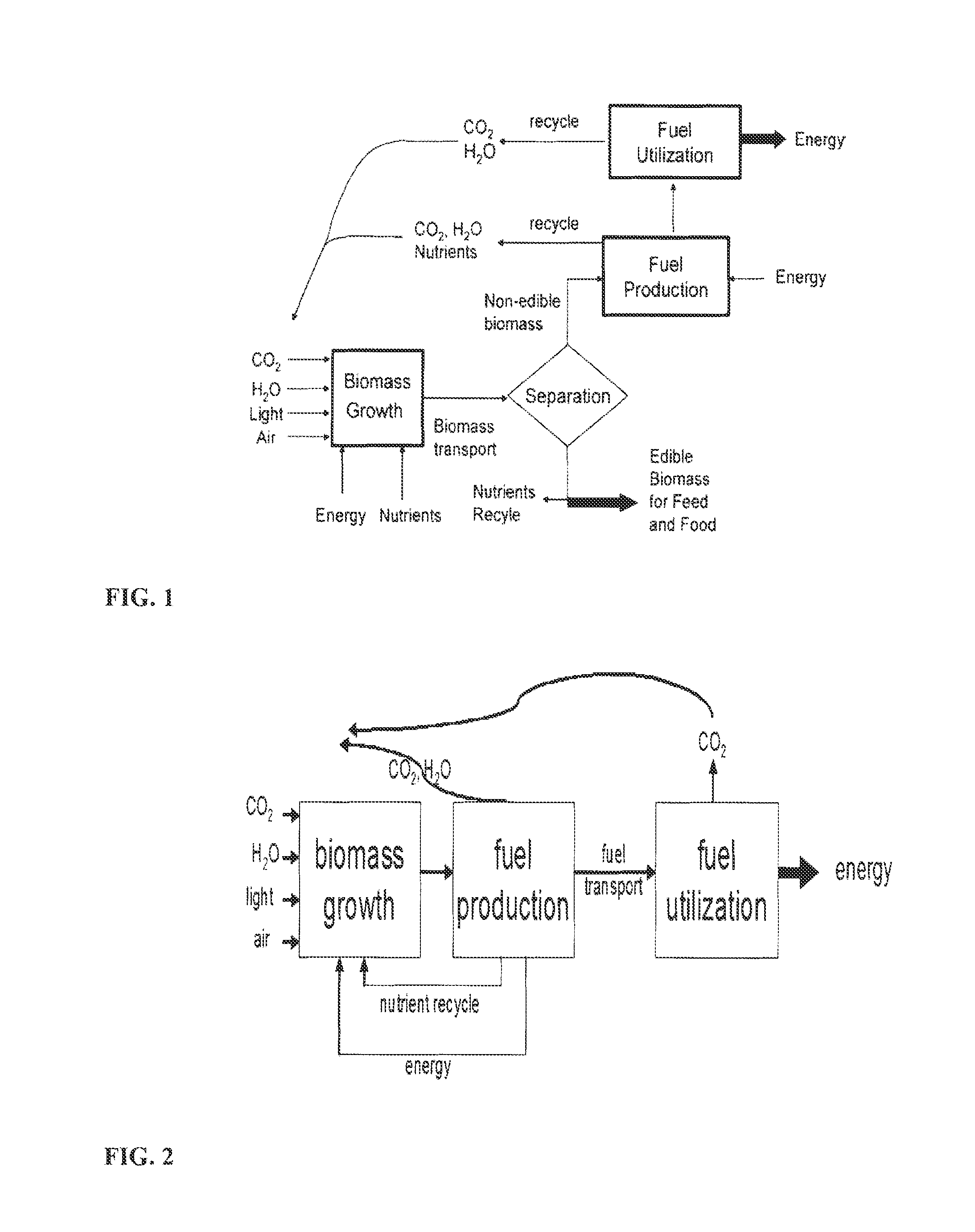 Process for direct conversion of biomass to liquid fuels and chemicals