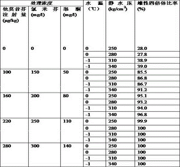 Efficient breeding method for siniperca chuatsi male tetraploid pure line