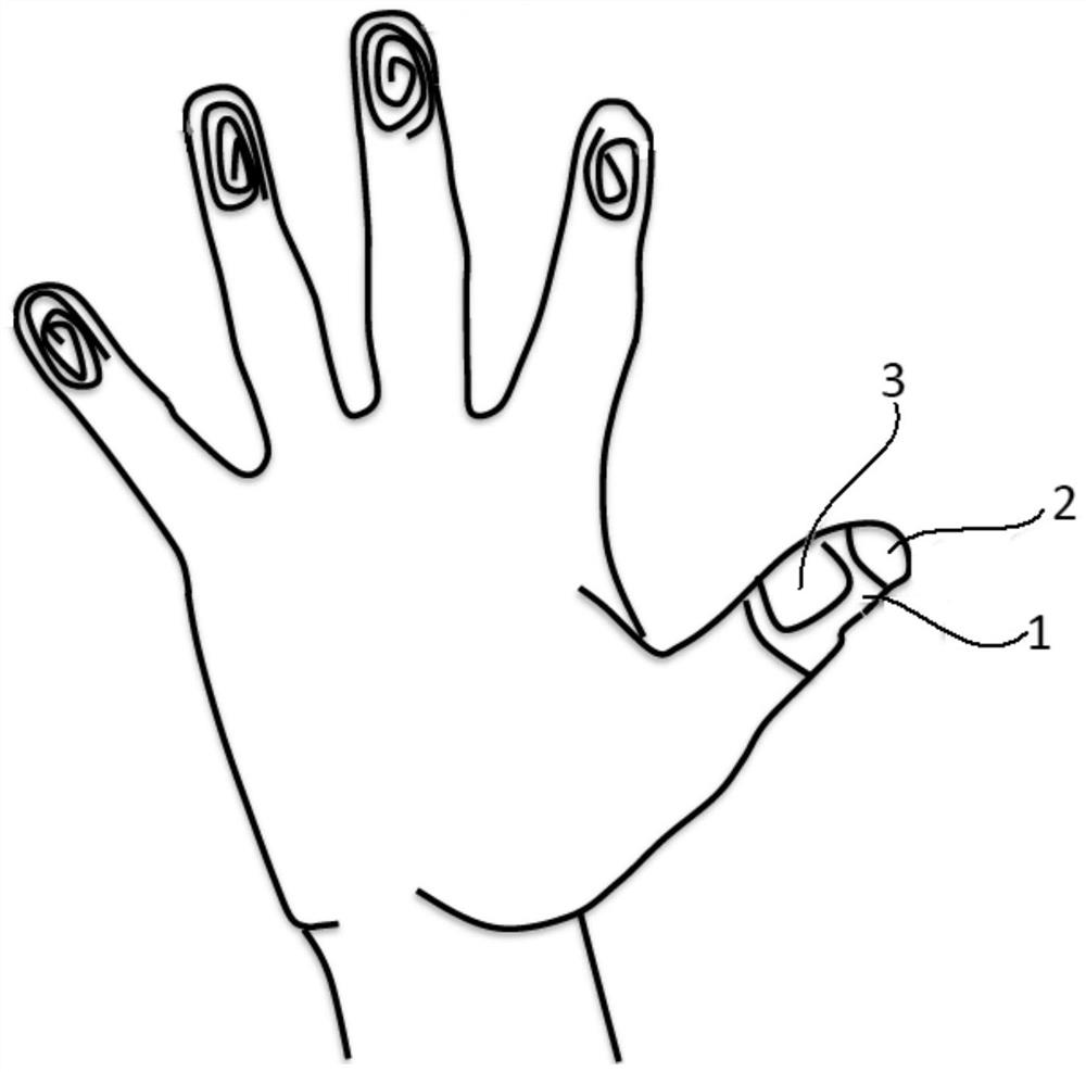 An interactive method and interactive system based on fingerprint and gesture recognition