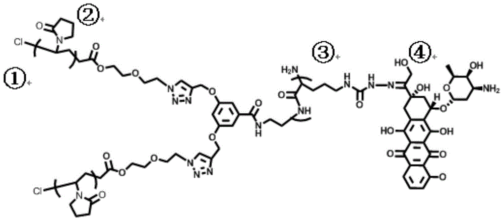 Preparation method of biocompatible polymer drug