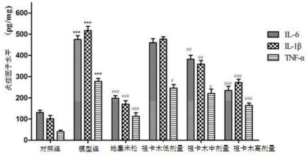 Application of Zukamu granules in lung injury caused by cytokine storm