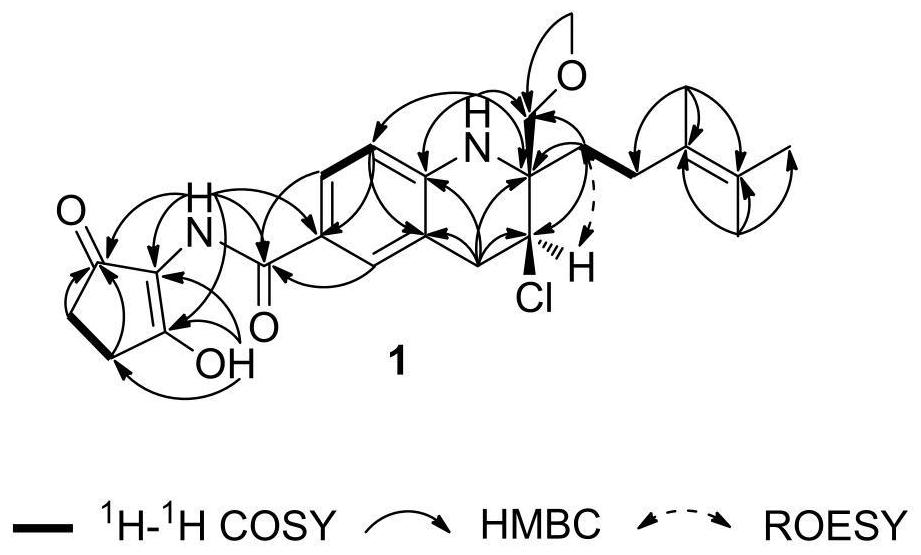 A tetrahydroquinoline alkaloid with anti-prostate cancer activity and its preparation method and application