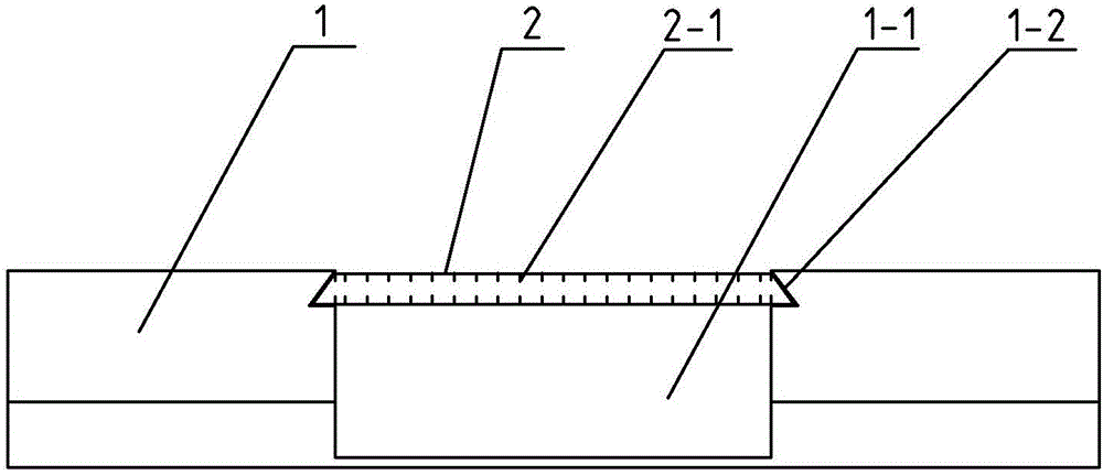 Insertion plate type check dam