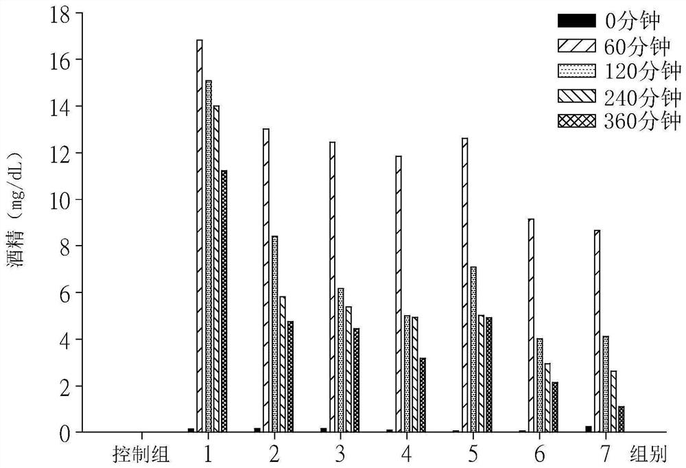 Application of antrodia camphorata in dispelling effects of alcohol and/or increasing alcohol metabolism