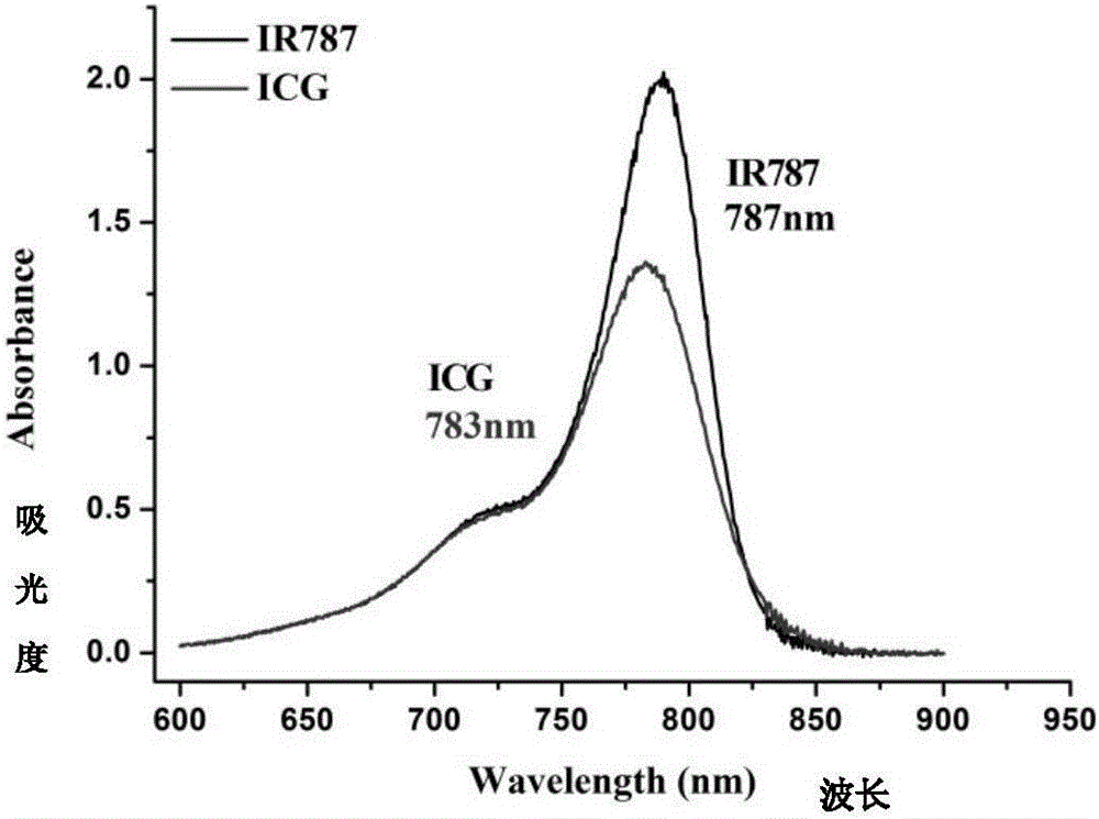 Near-infrared fluorescent molecular probe and synthesis method and application thereof