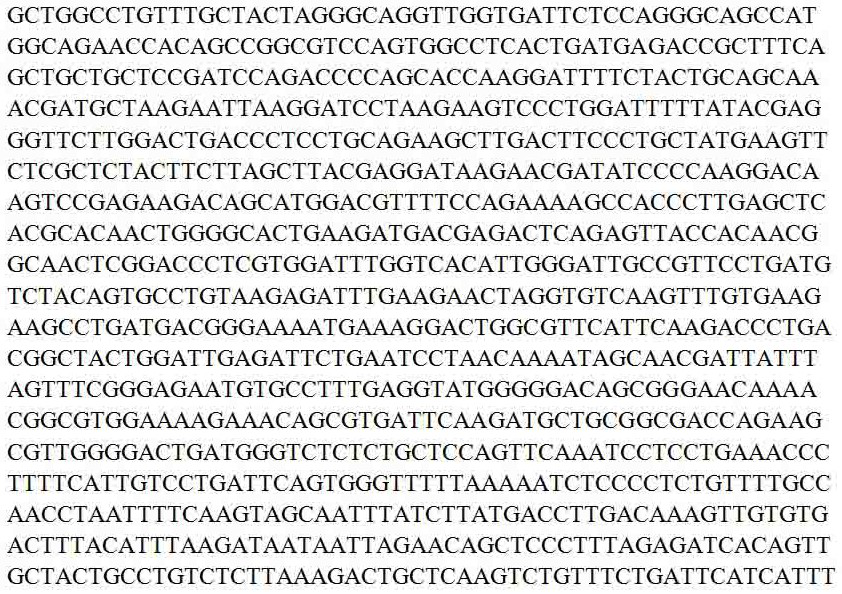 LncRNA-063 and application thereof