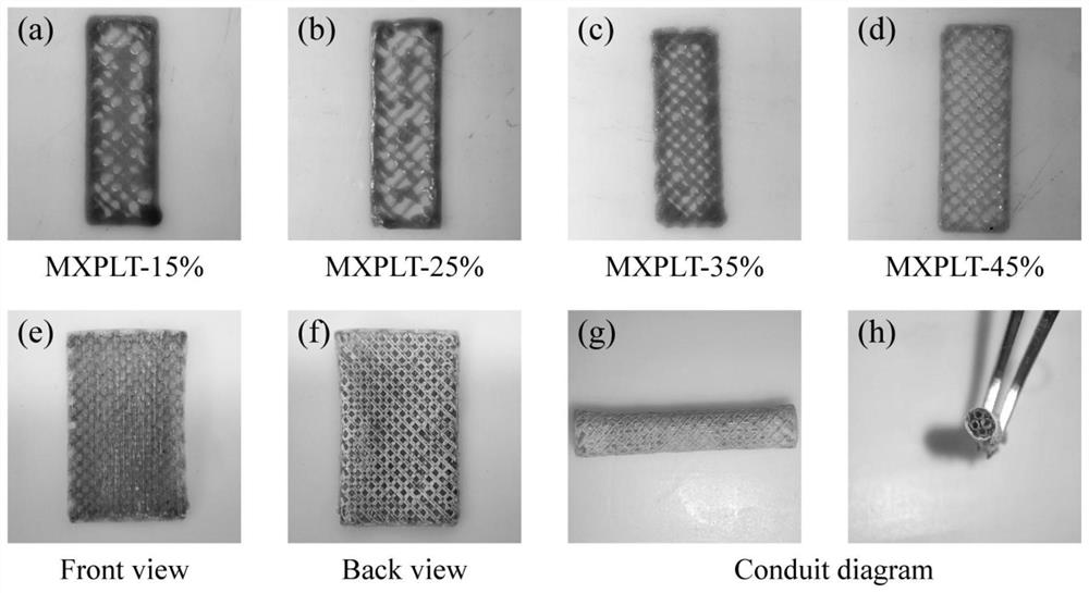 3D-printed high-conductivity healing-promoting multichannel nerve conduit and preparation method and application thereof