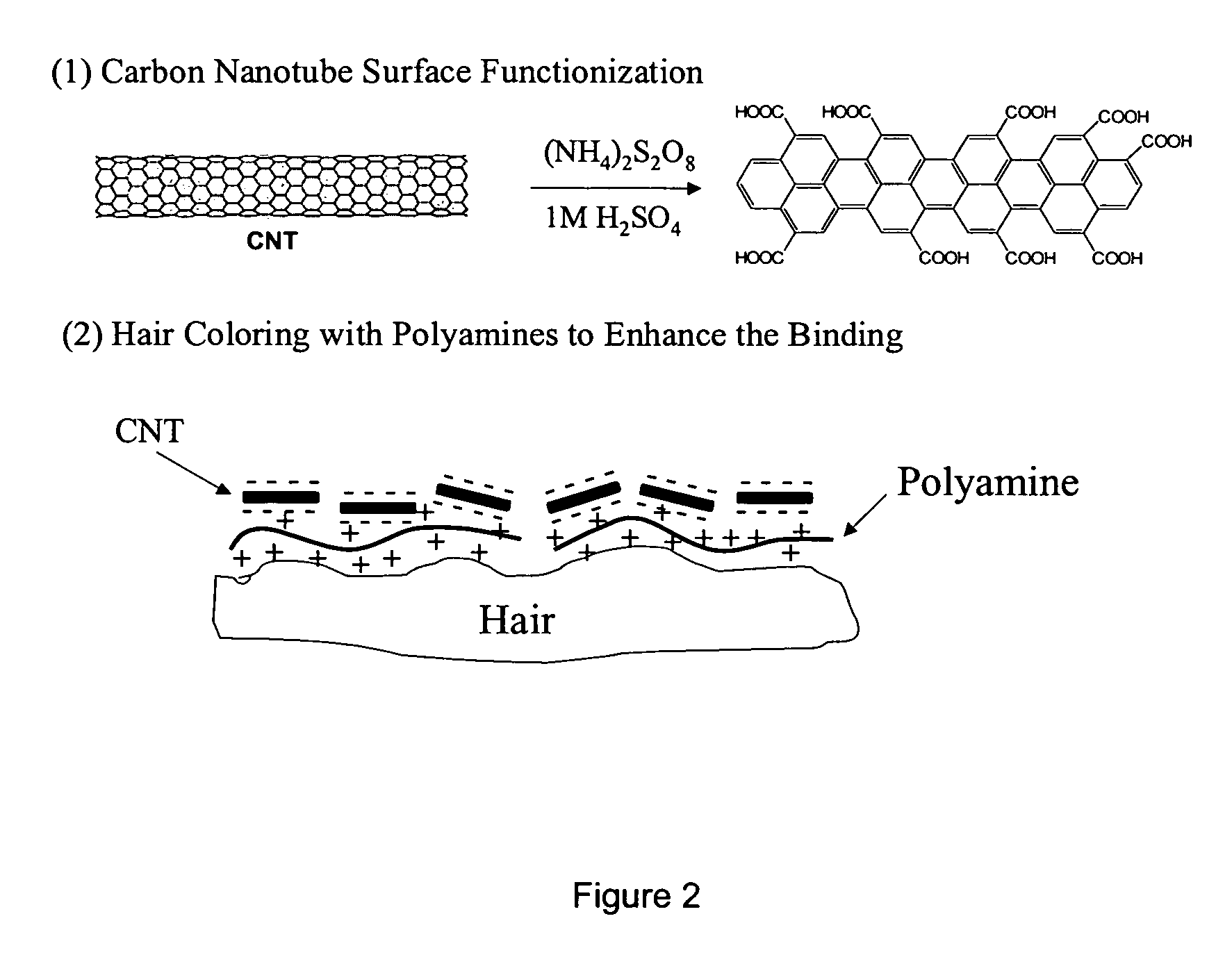 Hair coloring and cosmetic compositions comprising carbon nanotubes