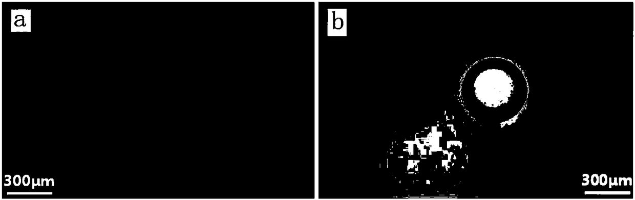 Microreactor based on liquid micrometer motors, preparation method and application thereof