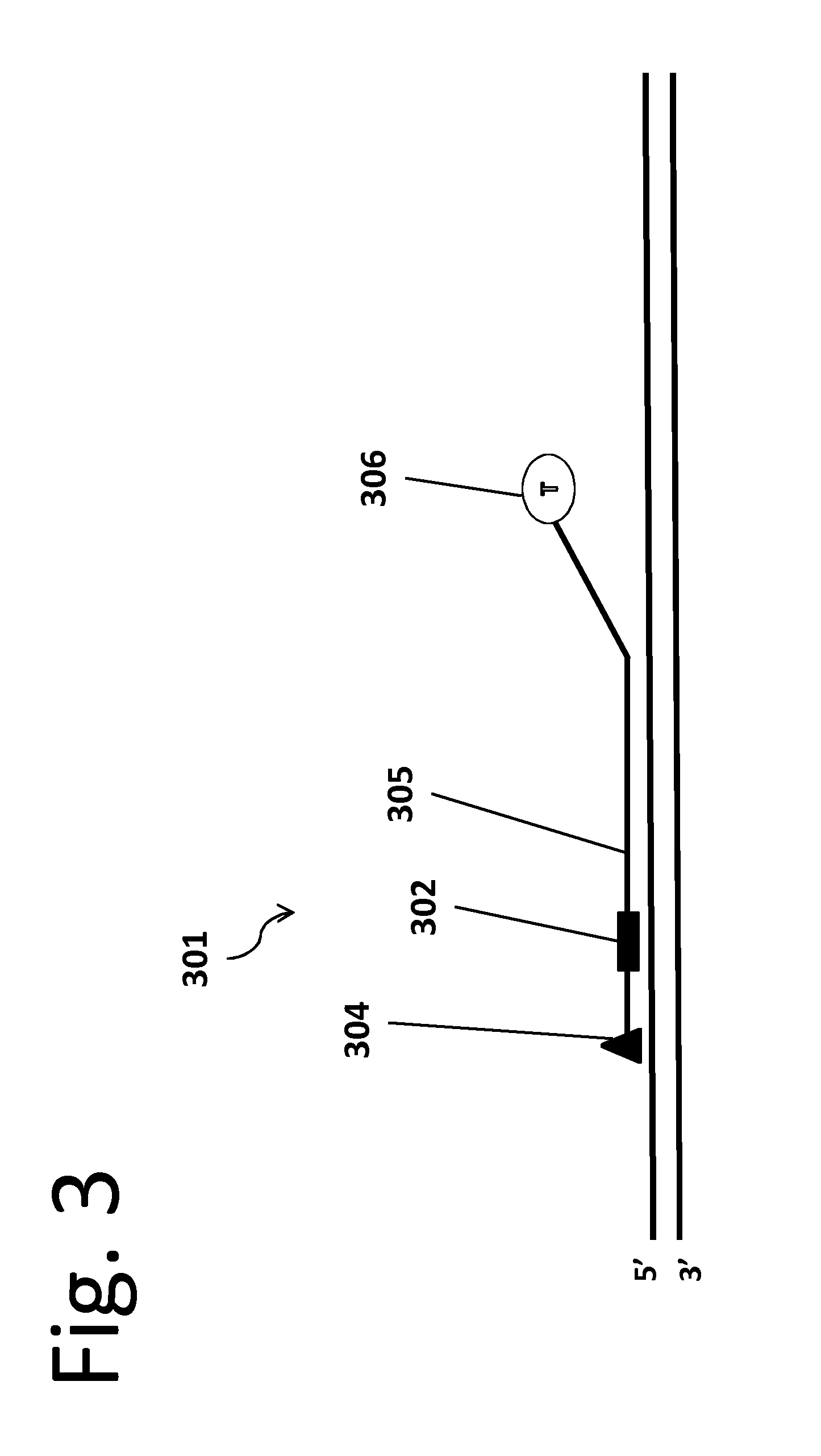 Method, composition, and reagent kit for targeted genomic enrichment