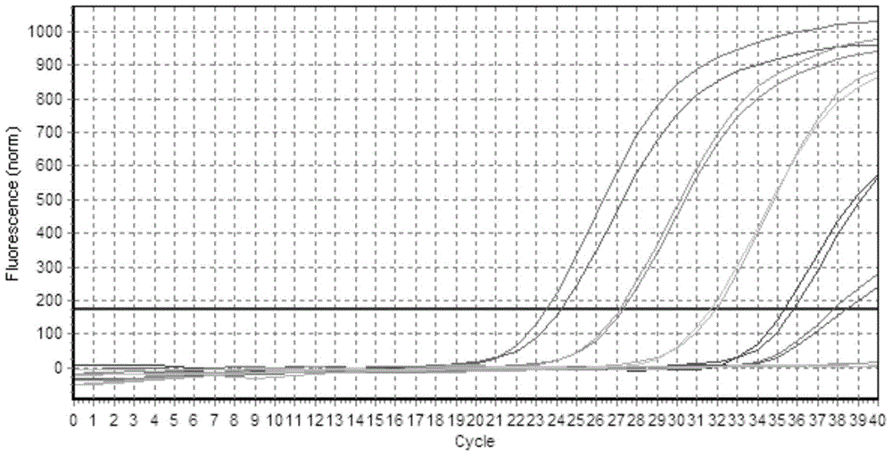 A detection method and kit for Bacillus cereus