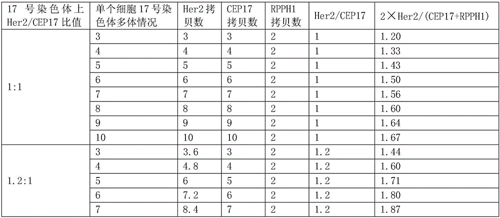 Nucleic acid combination for detecting Her2 gene, kit and application