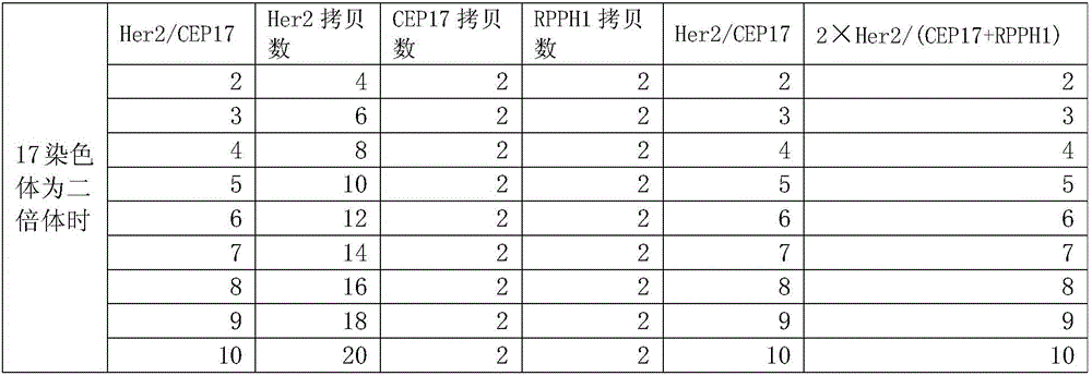 Nucleic acid combination for detecting Her2 gene, kit and application