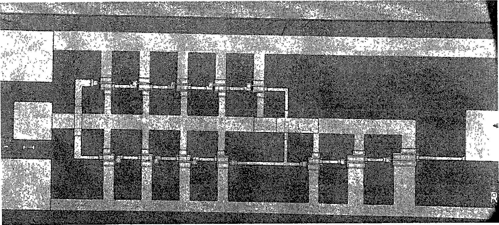 Monolithic integrated ring oscillator and frequency divider circuit and processing method thereof