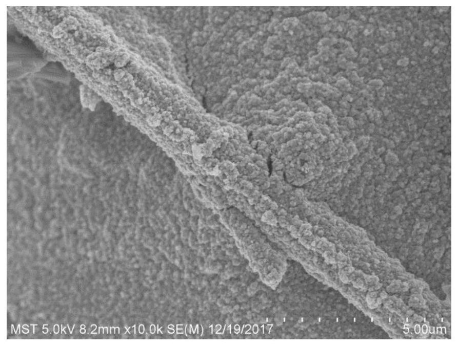 A kind of preparation method of silicon carbide nanofiber film