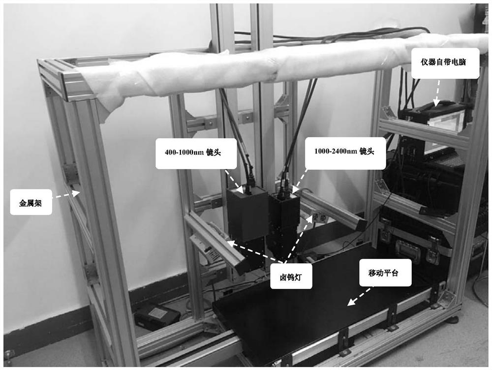 Identification method of wolfberry origin based on hyperspectral imaging technology