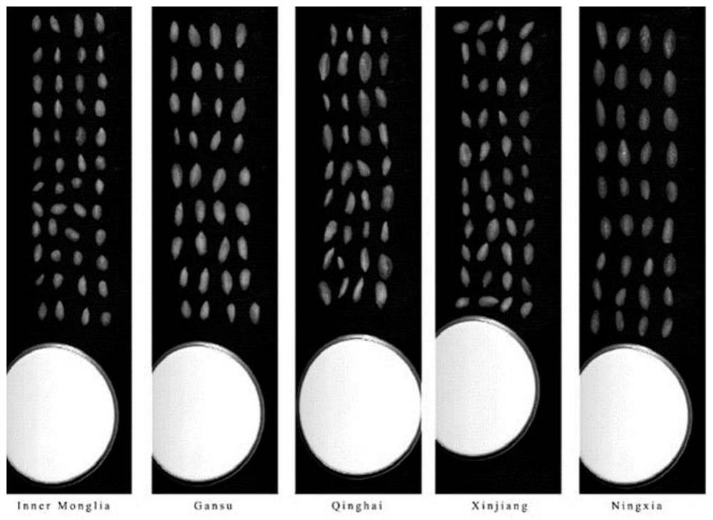 Identification method of wolfberry origin based on hyperspectral imaging technology