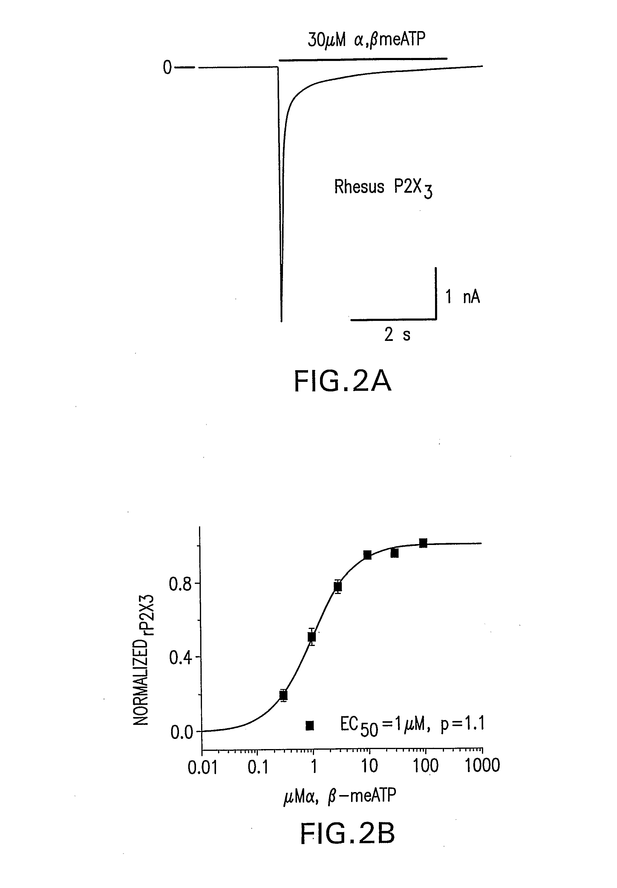 Nucleic Acids Encoding a Functional Mammalin Purinoreceptor, P2X3, Methods of Production and Use Thereof