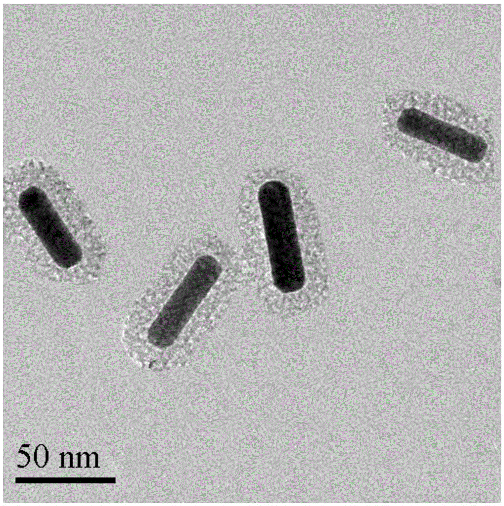 Preparation method of gold nano-composite targeting drug delivery system