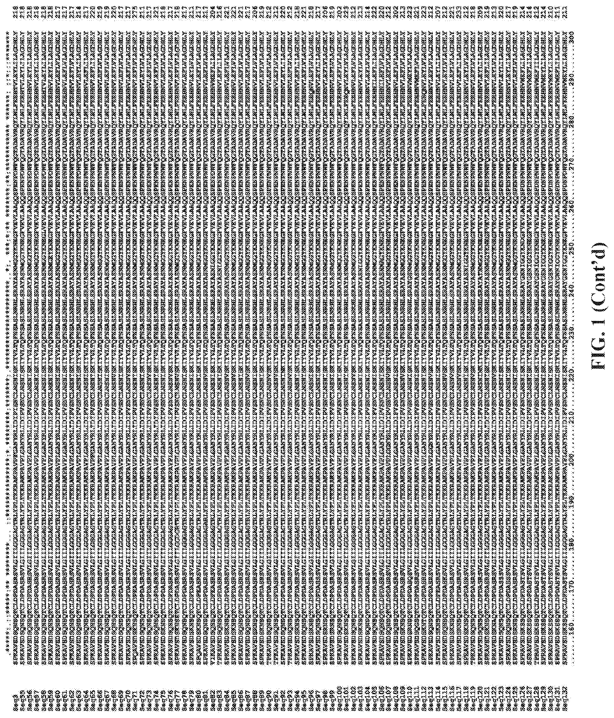 Increasing plant growth and yield by using an ADP-glucose pyrophosphorylase sequence