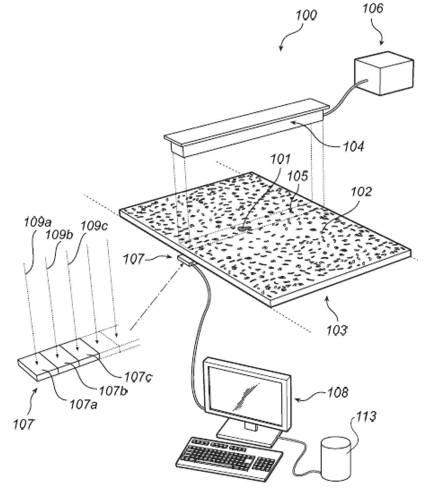 Method and apparatus for estimating the dry mass flow rate of a biological material