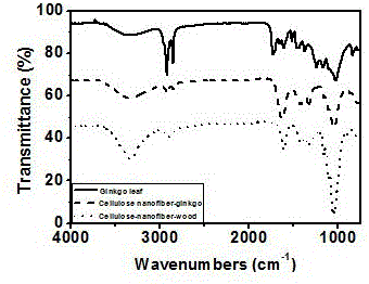 Method for preparing nanocellulose for efficiently adsorbing heavy metal ions from natural fallen leaves