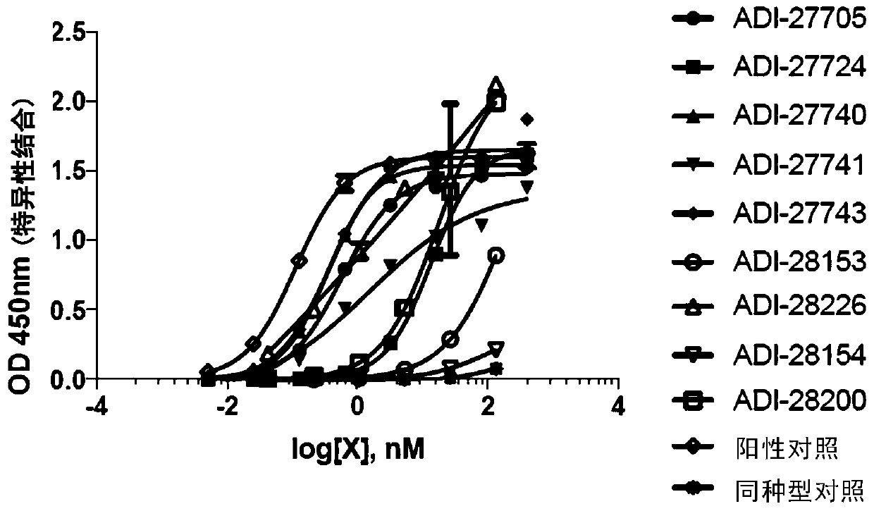 Proteins binding nkg2d, cd16 and a tumor-associated antigen