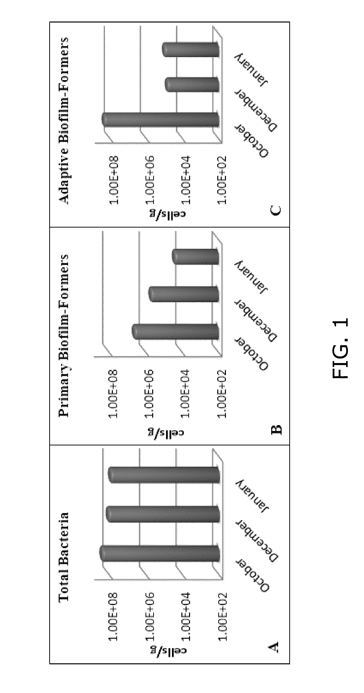 Detection and quantification of nucleic acid to assess microbial biomass in paper defects and machine felts