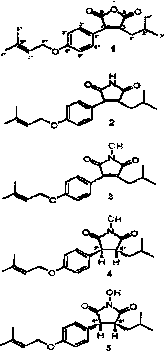 Mixtures and compounds from Antrodia camphorate myceliums and use thereof