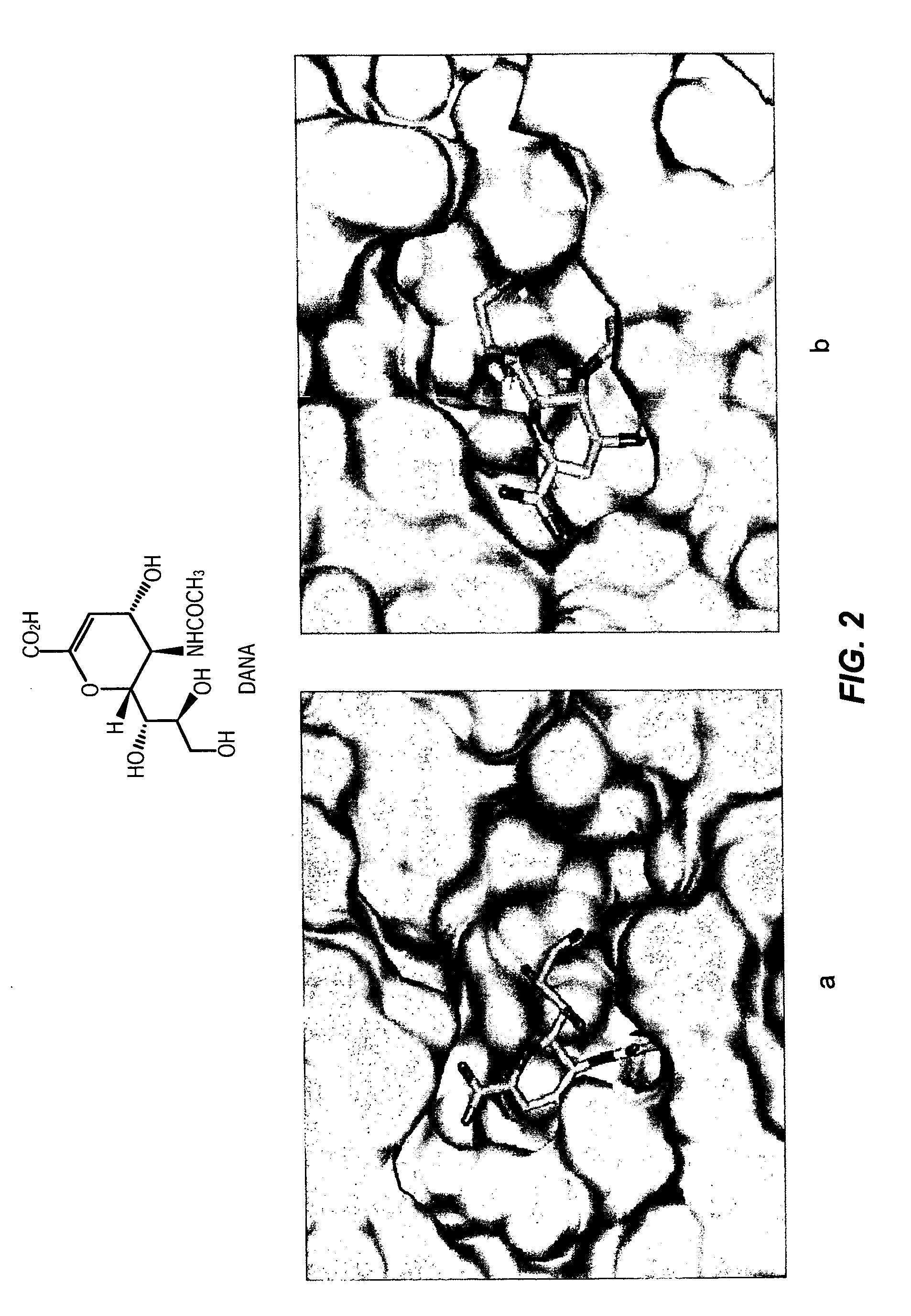 Labeled substrate conjugates for identifying enzyme inhibitors