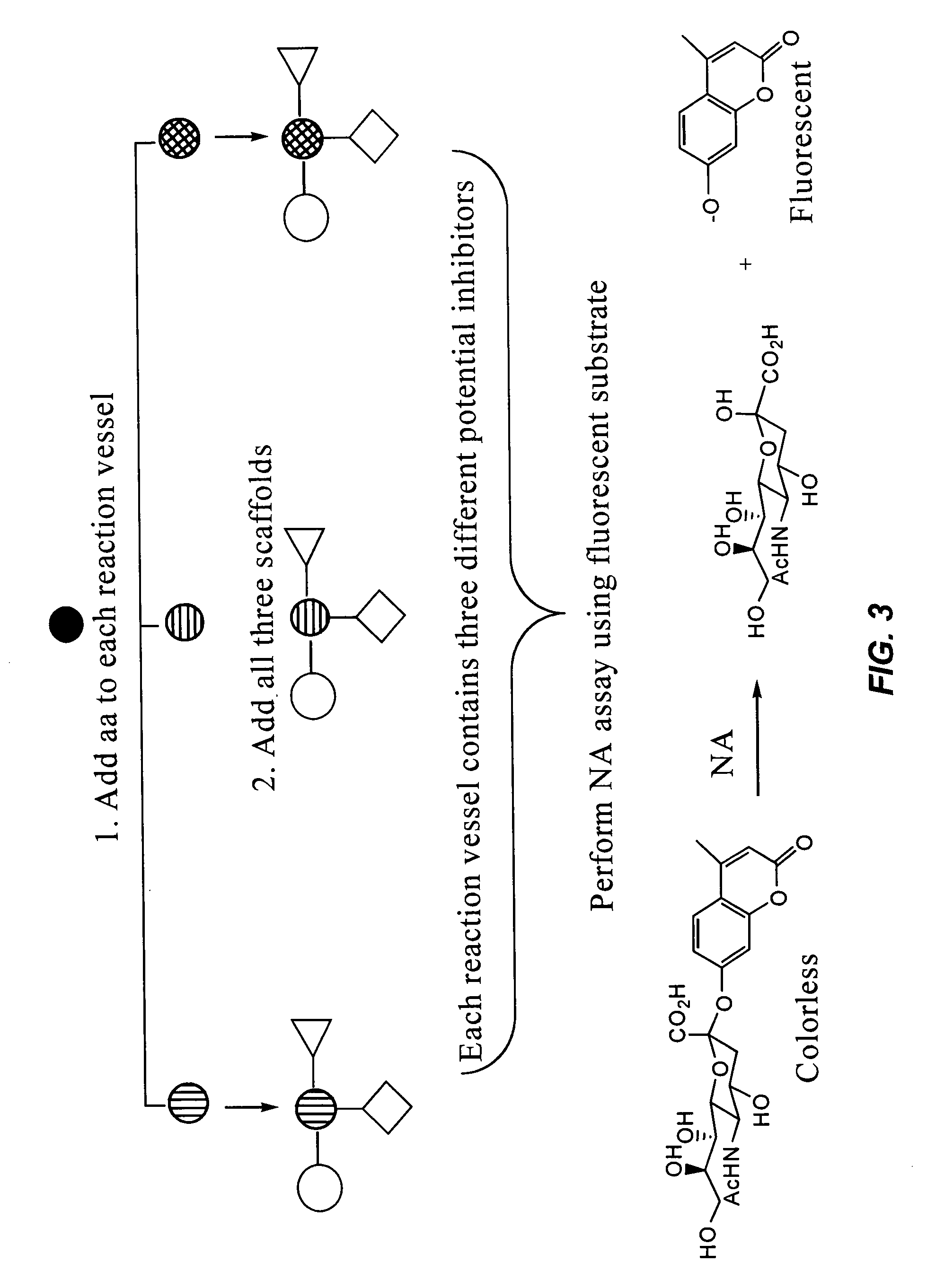 Labeled substrate conjugates for identifying enzyme inhibitors
