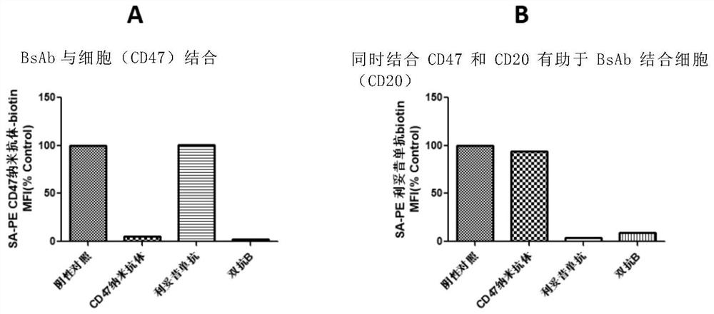 Anti-cd47/cd20 bispecific antibody and use thereof