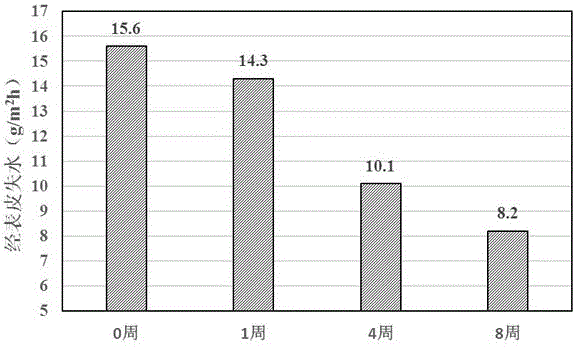 Acne-removing composition and preparation method thereof