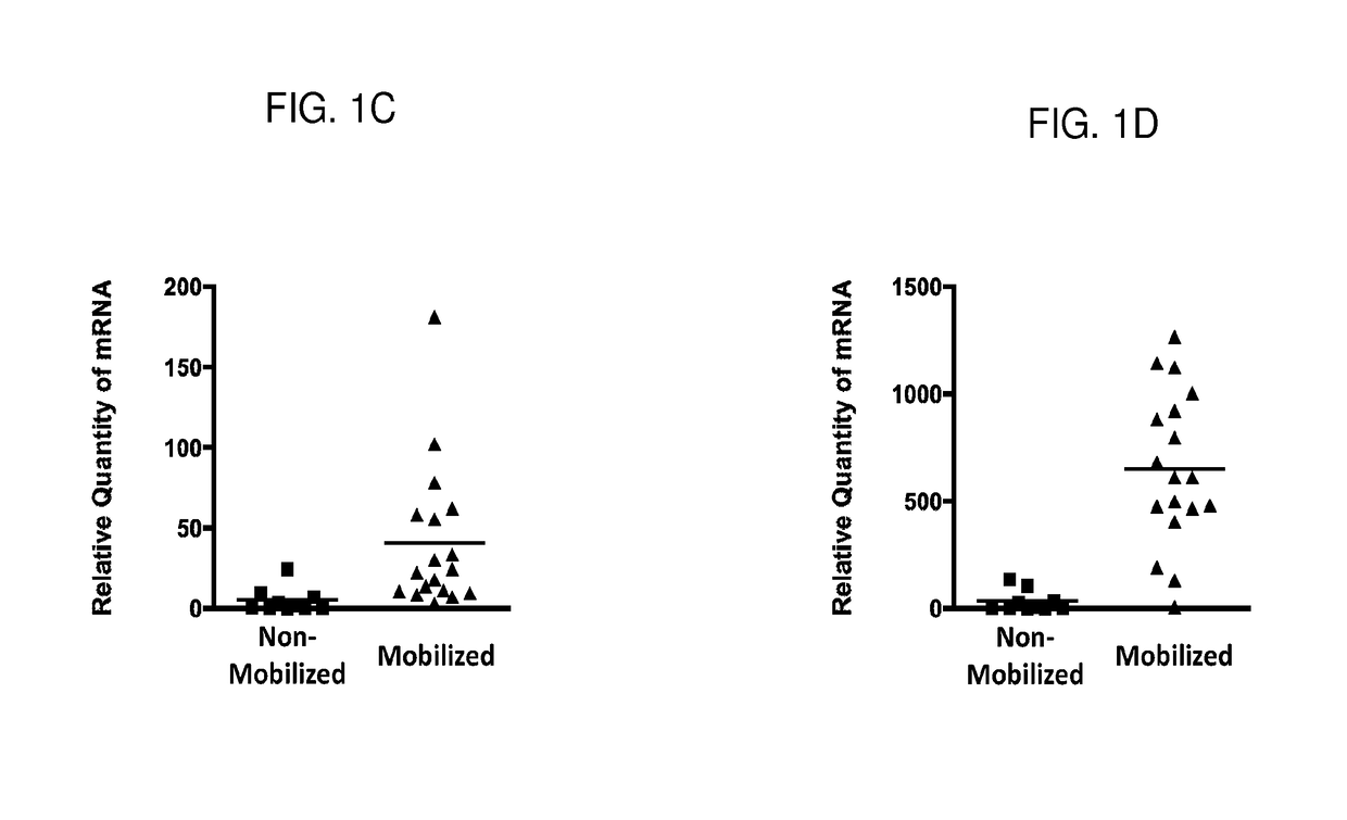 Compositions enriched for hox11+ stem cells and methods of preparing the same