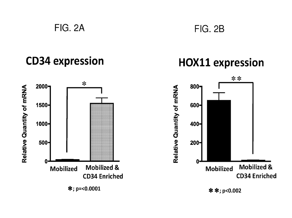 Compositions enriched for hox11+ stem cells and methods of preparing the same