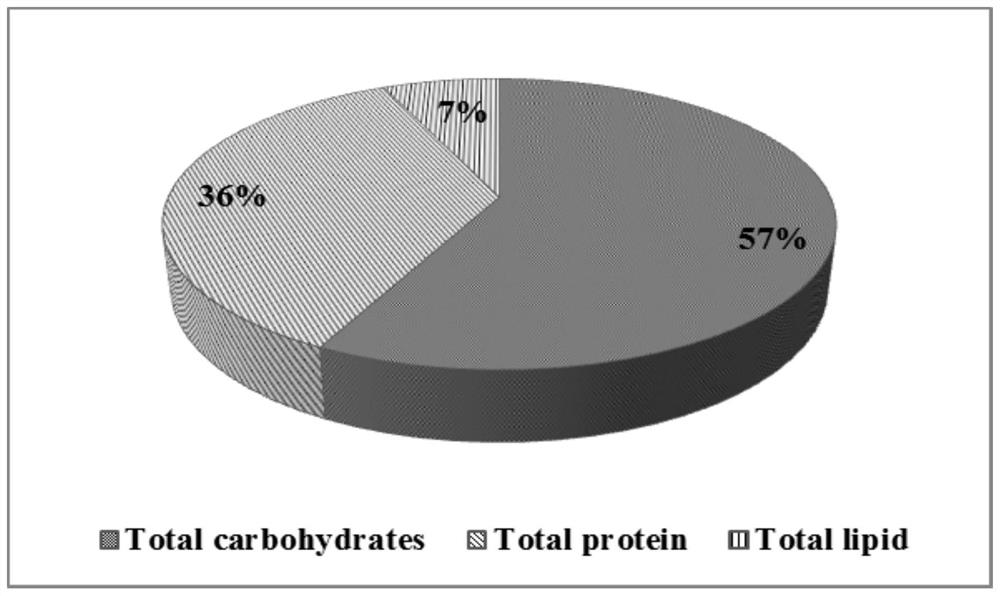 High-temperature-resistant high-carbohydrate-yield thermal-spring cyanobacteria and application thereof