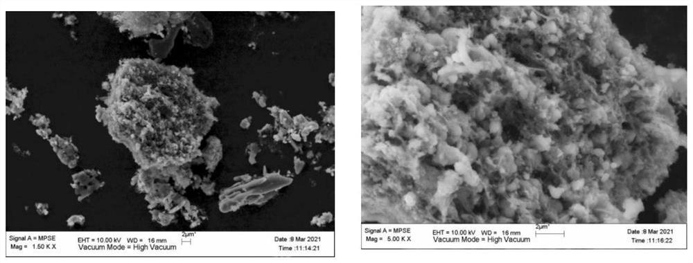 Preparation method and application of pyrophosphate modified biochar