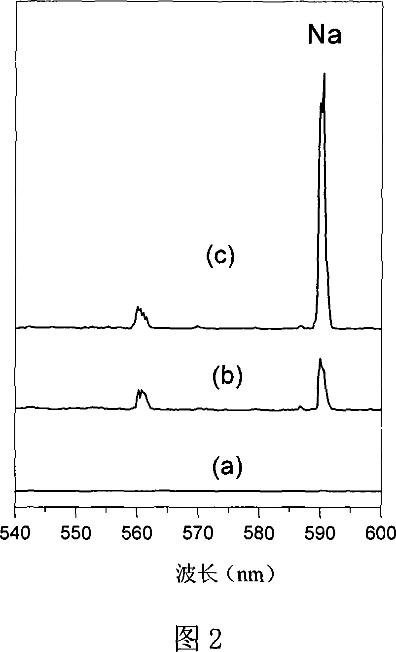Double-path resonance enhanced laser guidence breakdown spectral trace element analyser and method
