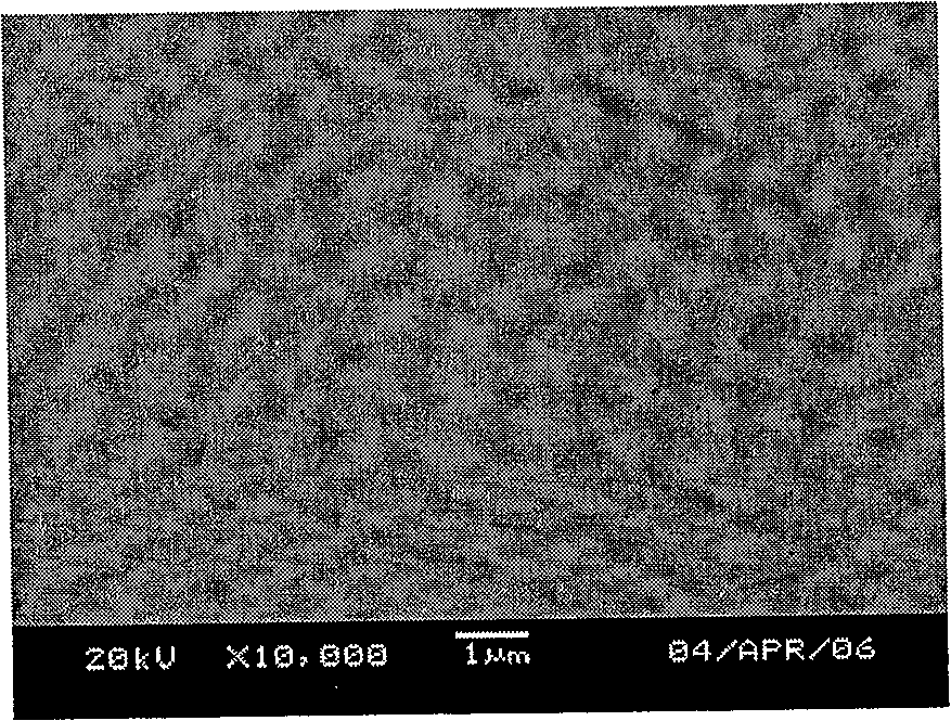 Surface treatment solution for magnesium alloy material and technique for processing magnesium alloy material surface