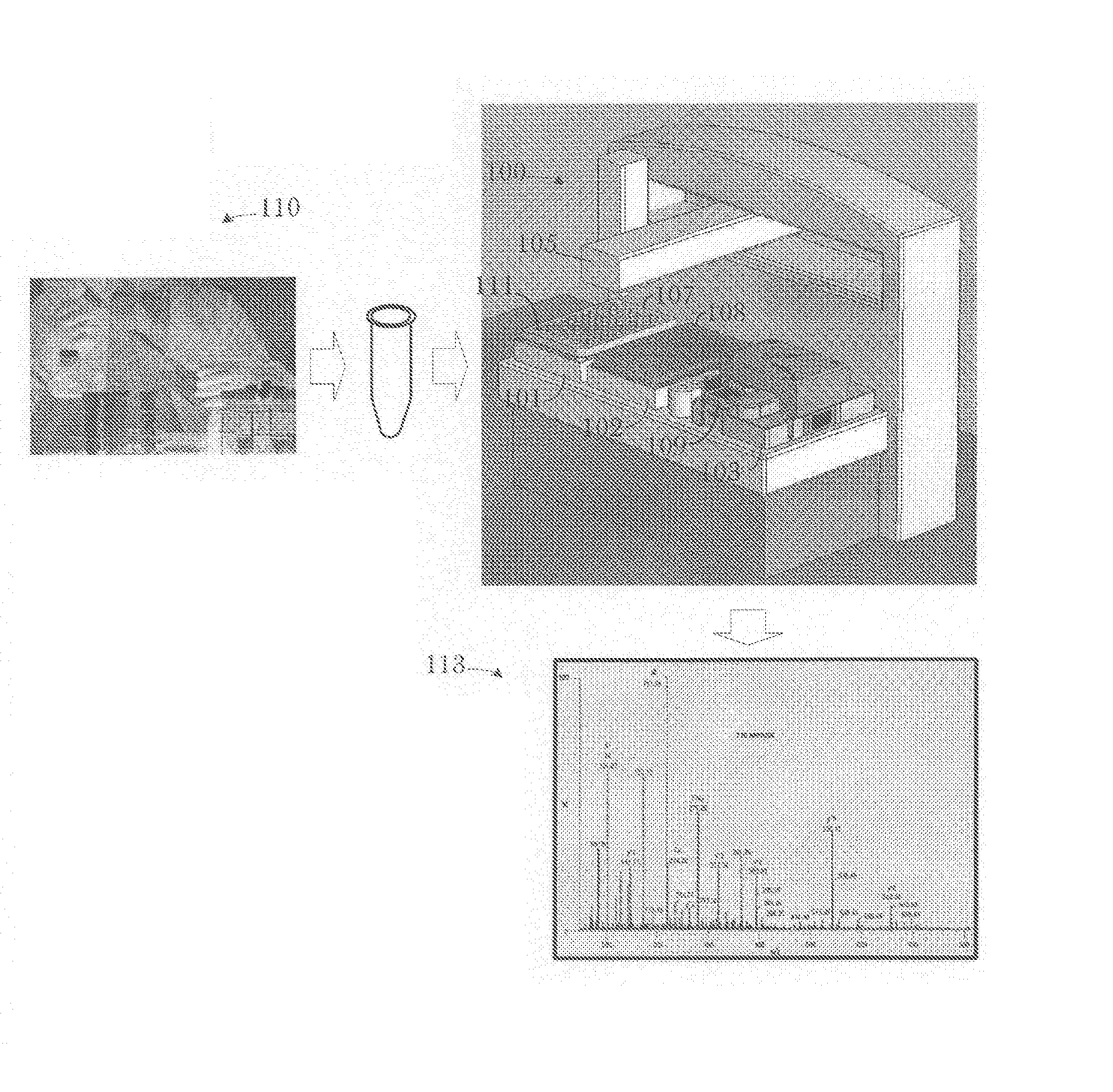 Automated two-dimensional gel electrophoresis