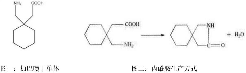 Gabapentin soft chewable tablet preparation, and preparation method and application thereof