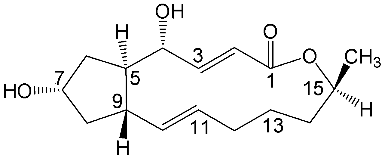 Brefeldin A ester derivatives and their preparation method and use