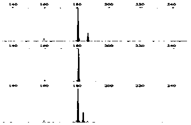 Fusarium proliferatum SSR molecular marker and application thereof