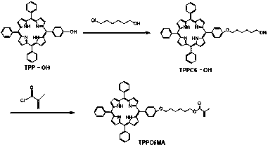 Porphyrin-containing acid-responsive photodynamic therapy polymer nano-drug