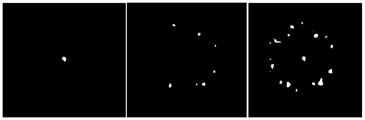 Microwave photonic transversal filter based on single wavelength and multimode fiber delay line module