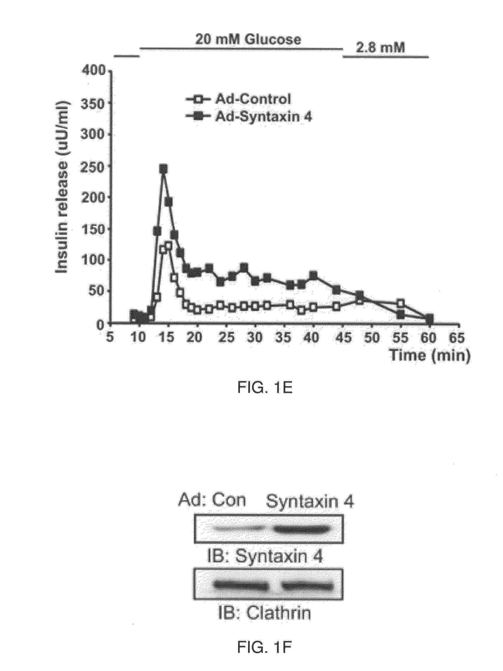 Materials and Methods for Regulating Whole Body Glucose Homeostasis